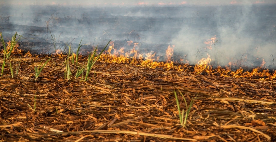 FAESP solicita ao governador socorro a vítimas de incêndios