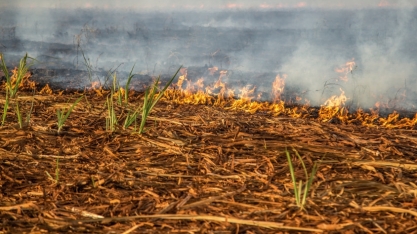 Tarcísio calcula prejuízo de R$ 1 bi para o Agro em SP