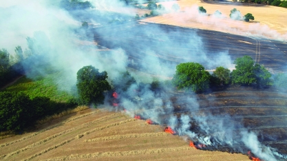 Produtores buscam alternativas para combater princípios de incêndios