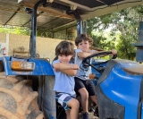 Passando o feriadão na fazenda do avô Alfredo Muradás: os pupilos Enrico e Lucca Nassif